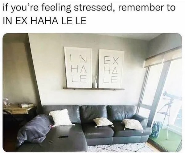 funny fails and facepalms - if you re feeling stressed in ex haha le le - if you're feeling stressed, remember to In Ex Haha Le Le In Ha Le Ex Ha Le