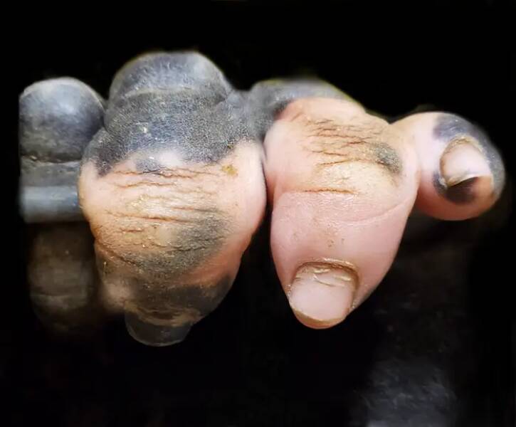 "This is what her fingers look like up close:"