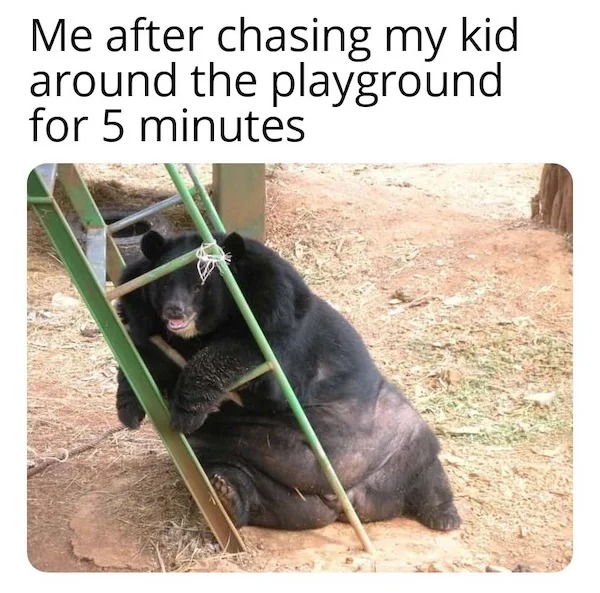 funny memes --  fat bear funny - Me after chasing my kid around the playground for 5 minutes
