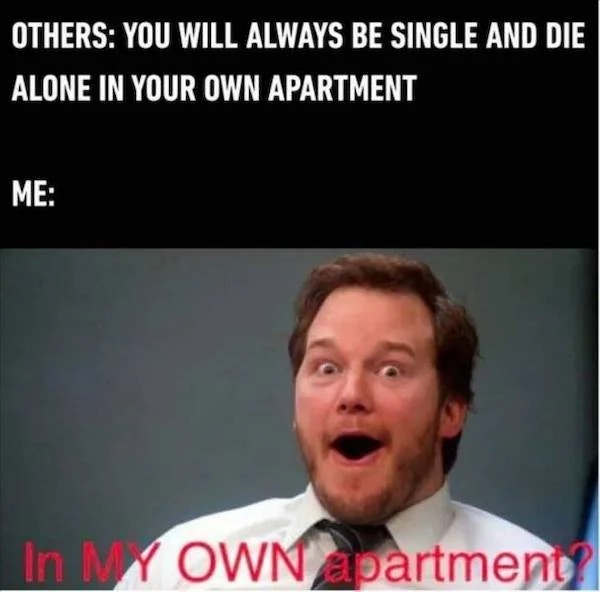 funny memes - smithsonian national museum of american history - Others You Will Always Be Single And Die Alone In Your Own Apartment Me In My Own apartment?
