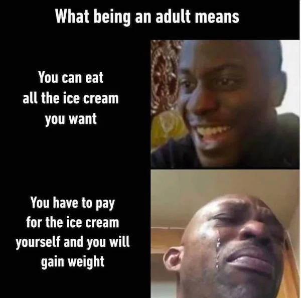 funny memes - head - What being an adult means You can eat all the ice cream you want You have to pay for the ice cream yourself and you will gain weight