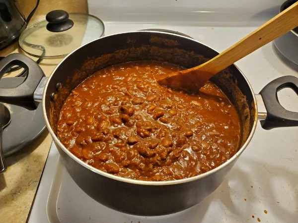 “Been wanting chili for months and finally made it today, only to realize before final simmering of all ingredients there were bugs in my chili powder.”