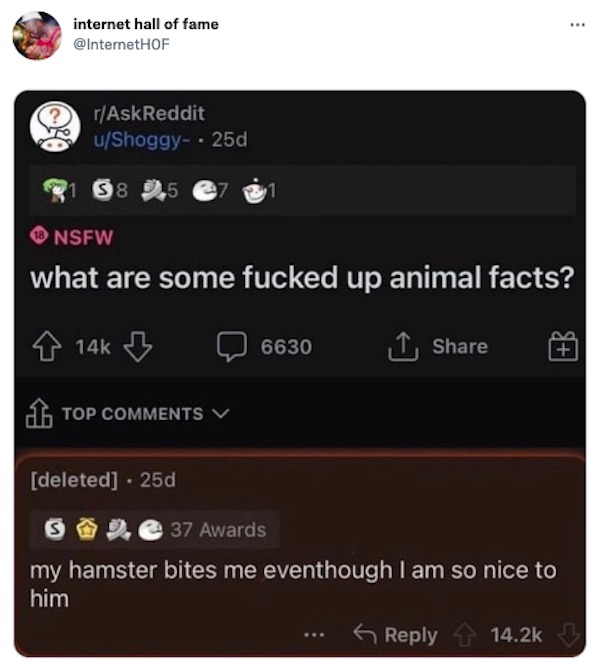 funniest tweets of the week - r/AskReddit - internet hall of fame rAskReddit uShoggy25d 1 58 25 27 1 Nsfw what are some fucked up animal facts? 14k Top deleted . 25d 6630 S 37 Awards my hamster bites me eventhough I am so nice to him ...