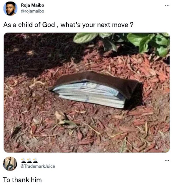 funniest tweets of the week - fauna - Roja Maibo As a child of God, what's your next move ? To thank him