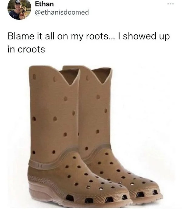 funniest tweets of the week - blame it all on my roots i showed up in croots - Ethan Blame it all on my roots... I showed up in croots