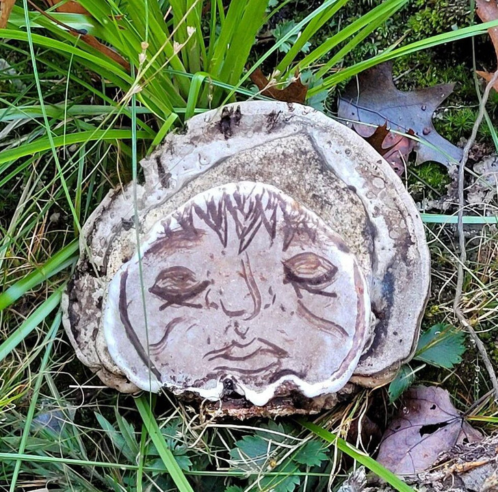 “Carved mushroom, found on a random forest trail.”