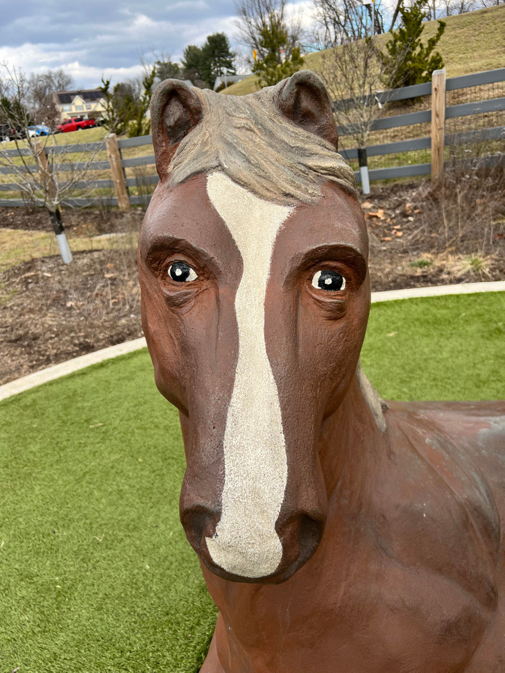 “Horse with eyes on front of its head.”