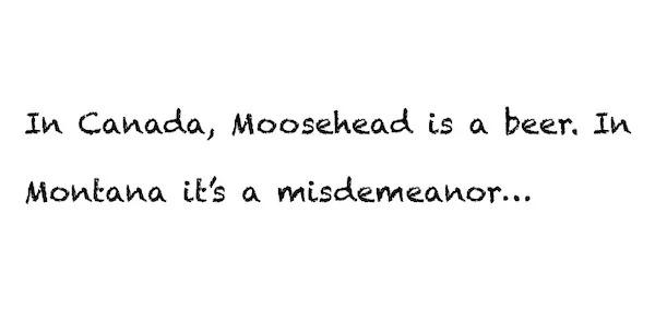 spicy memes - Injury - In Canada, Moosehead is a beer. In Montana it's a misdemeanor...