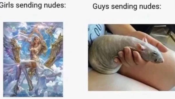 spicy memes - girls sending nudes guys sending nudes - Girls sending nudes Guys sending nudes