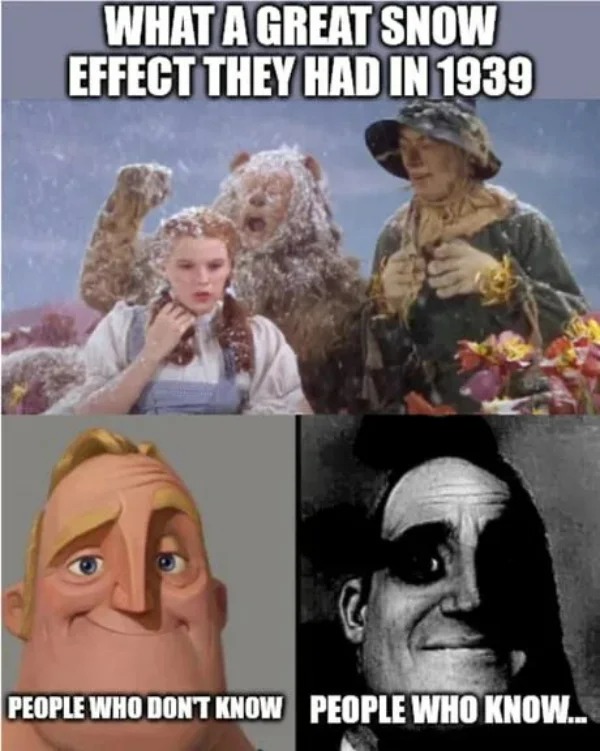 wizard of oz dark memes - What A Great Snow Effect They Had In 1939 People Who Don'T Know People Who Know...