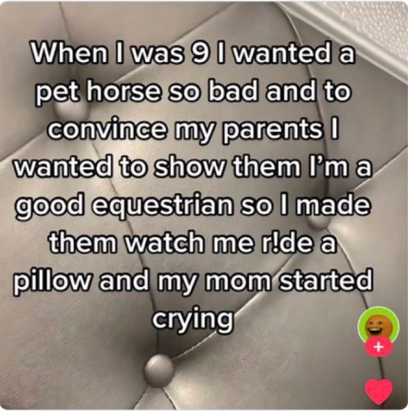 wild tiktok screenshots - material - When I was 9 I wanted a pet horse so bad and to convince my parents I wanted to show them I'm a good equestrian so I made them watch me r!de a pillow and my mom started crying