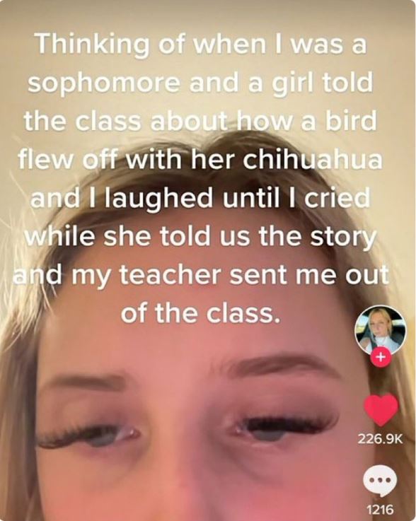 wild tiktok screenshots - lip - Thinking of when I was a sophomore and a girl told the class about how a bird flew off with her chihuahua and I laughed until I cried while she told us the story and my teacher sent me out of the class. 1216