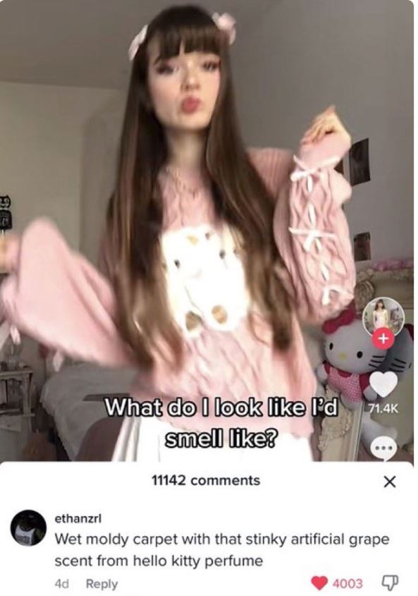 wild tiktok screenshots - photo caption - What do I look I'd smell ? 11142 4003 @ X ethanzrl Wet moldy carpet with that stinky artificial grape scent from hello kitty perfume 4d