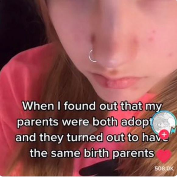 wild tiktok screenshots - lip - When I found out that my parents were both adopt and they turned out to havt the same birth parents