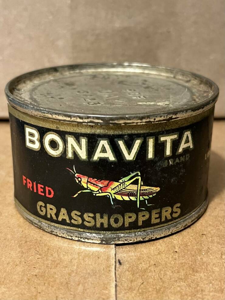 fascinating photos - Bonavita Fried Rand Grasshoppers