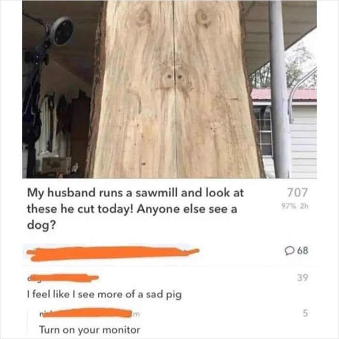 savage comments - Internet meme - My husband runs a sawmill and look at these he cut today! Anyone else see a dog? I feel I see more of a sad pig Im Turn on your monitor 707 97% 2h D68 39 5