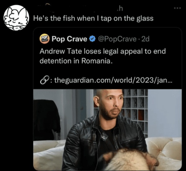 savage comments - Looksmax.org - h He's the fish when I tap on the glass Pop Crave 2d Andrew Tate loses legal appeal to end detention in Romania. theguardian.comworld2023jan... Grave
