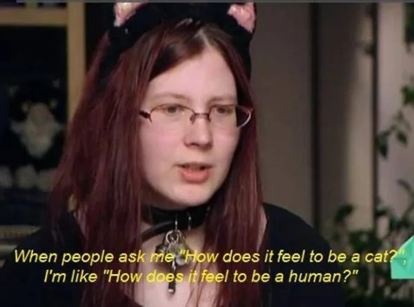 cringiest person - When people ask me "How does it feel to be a cat?" I'm "How does it feel to be a human?"