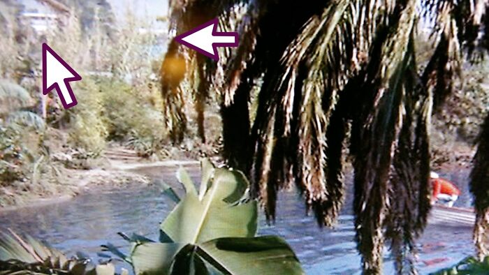 In 'Gilligan's Island' Several Cbs Studio Buildings Are Visible In The Background From The Lagoon. Episode 'The Friendly Physician', 1966