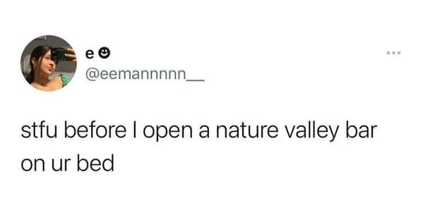 funny insults and threats - stfu before i open a nature valley bar on your bed - e stfu before I open a nature valley bar on ur bed