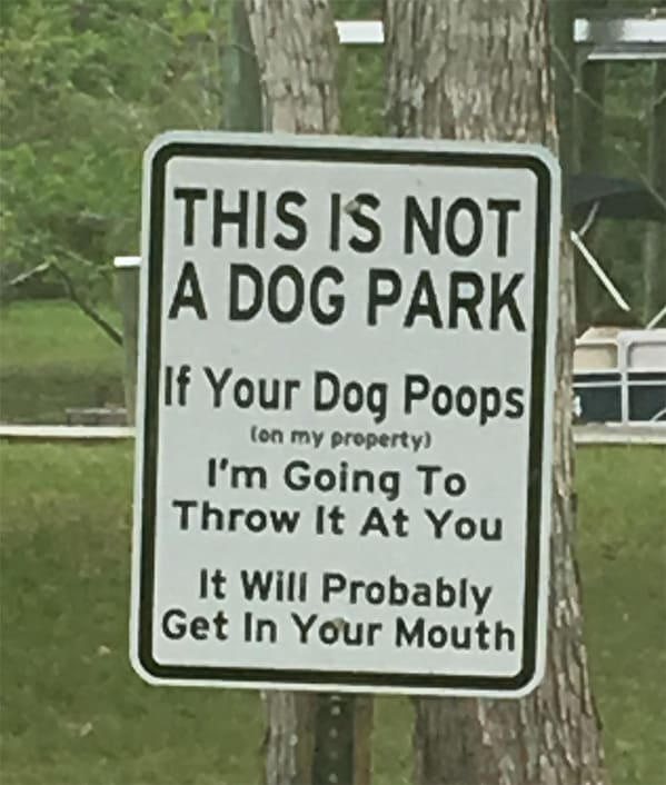 funny insults and threats - tree - This Is Not A Dog Park If Your Dog Poops on my property I'm Going To Throw It At You It Will Probably Get In Your Mouth