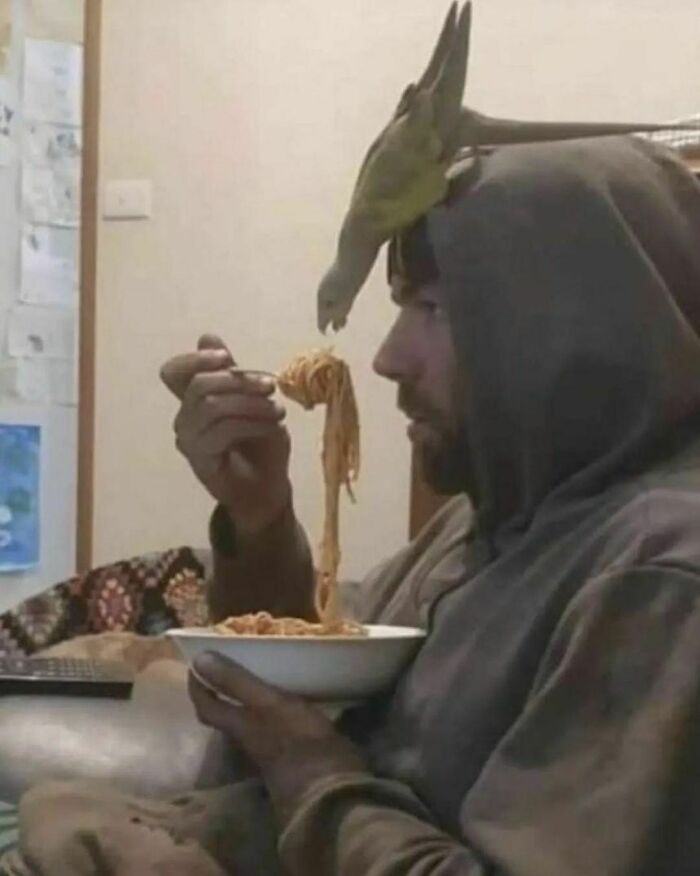 37 Random Pics That Make Little Sense.