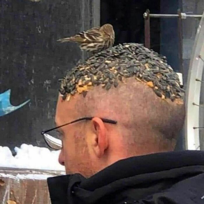 37 Random Pics That Make Little Sense.