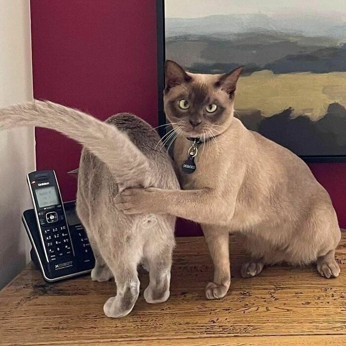 37 Random Pics That Make Little Sense.