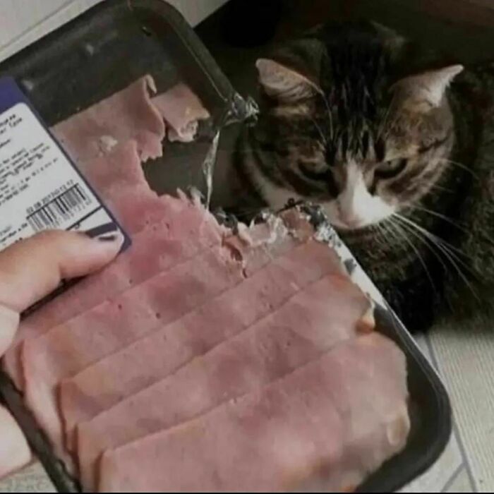 37 Random Pics That Make Little Sense.