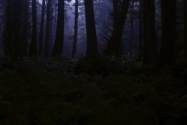 Horror movie soundtracks sometimes include infrasound, which is below the range of human hearing. Even though we can’t hear it, we can still feel it and infrasound has been shown to induce anxiety, heart palpitations, and shivering.