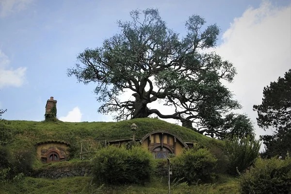 J. R. R. Tolkien began work on The Hobbit one day early in the 1930s, when he was marking School papers. He found a blank page. Suddenly inspired, he wrote the words, “In a hole in the ground, there lived a hobbit.”