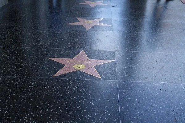 You pay to have your star on the walk of fame in Hollywood, $30,000 to be precise.