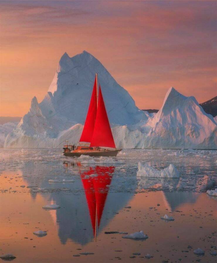 51 Pics That Are Really Awesome.