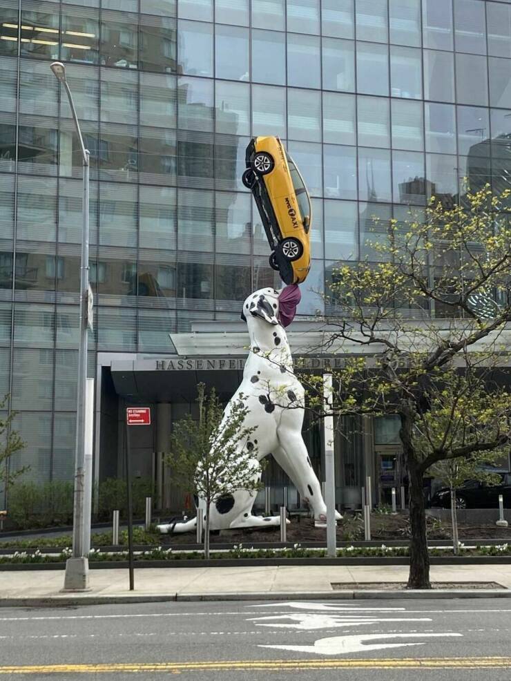 51 Pics That Are Really Awesome.