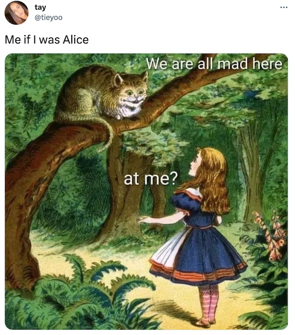 magic cat alice in wonderland - tay Me if I was Alice We are all mad here at me?