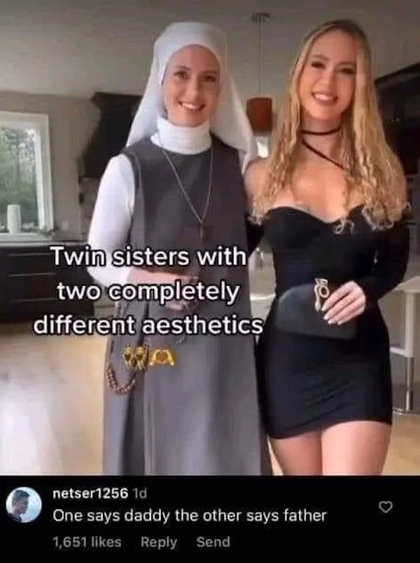 sex memes - Twin - Twin sisters with two completely different aesthetics netser1256 1d One says daddy the other says father 1,651 Send