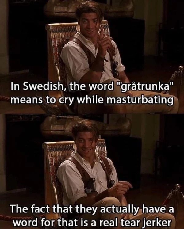 sex memes - funny swedish memes - In Swedish, the word "grtrunka" means to cry while masturbating The fact that they actually have a word for that is a real tear jerker