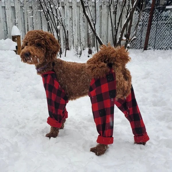 “Tried to solve the snow clumping problem with leggings.”