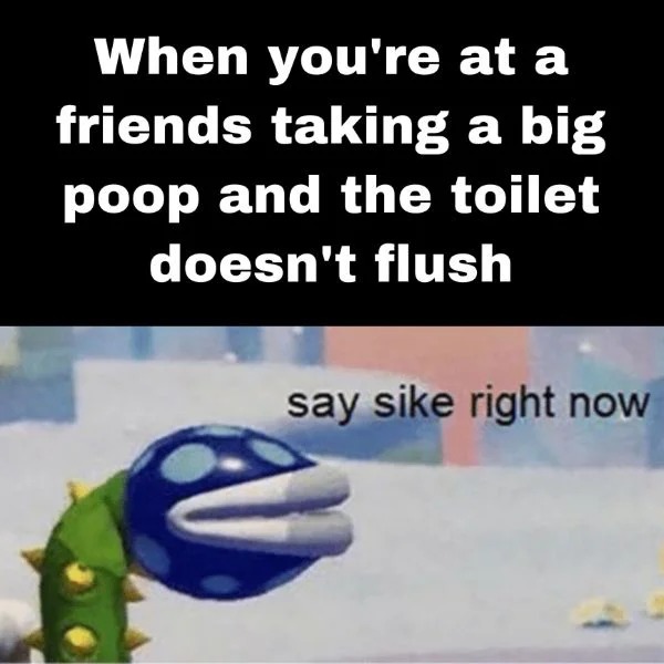 relatable memes - photo caption - When you're at a friends taking a big poop and the toilet doesn't flush say sike right now
