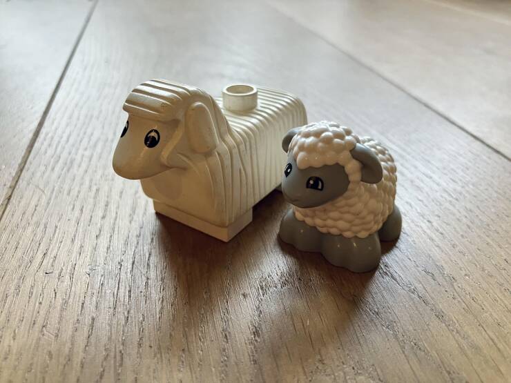 “30 years difference in Duplo sheep.”