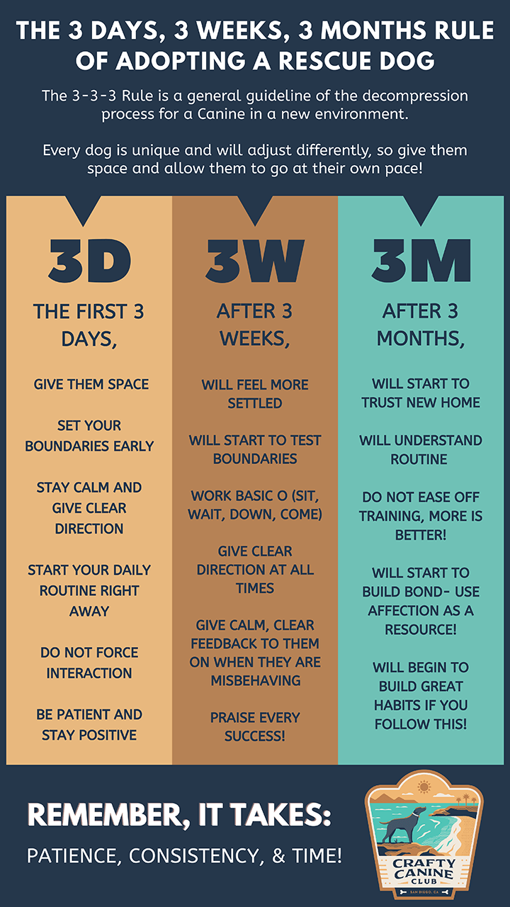 infographics and charts - rescue dog decompression - The 3 Days, 3 Weeks, 3 Months Rule Of Adopting A Rescue Dog The 333 Rule is a general guideline of the decompression process for a Canine in a new environment. Every dag is unique and will adjust differ