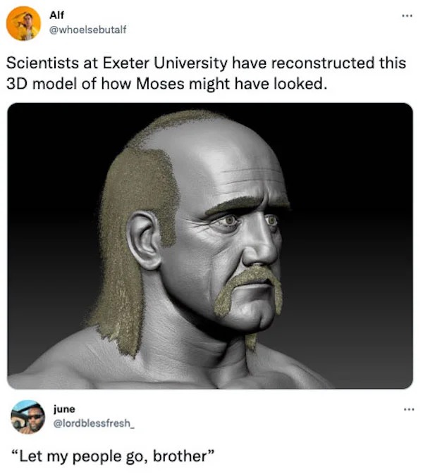 funny comments that were on point - head - Alf Scientists at Exeter University have reconstructed this 3D model of how Moses might have looked. june "Let my people go, brother"