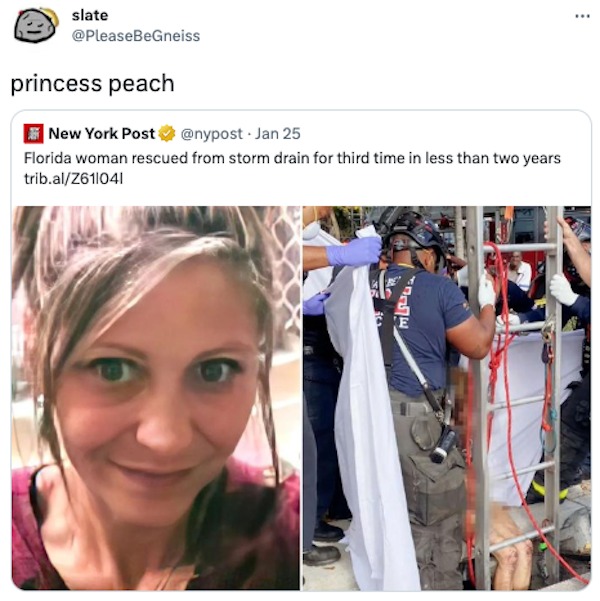 funny comments that were on point - florida woman gets rescued from drain store - slate princess peach New York Post Jan 25 Florida woman rescued from storm drain for third time in less than two years trib.alZ611041 Mus