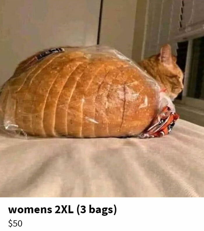 bread - womens 2XL 3 bags $50
