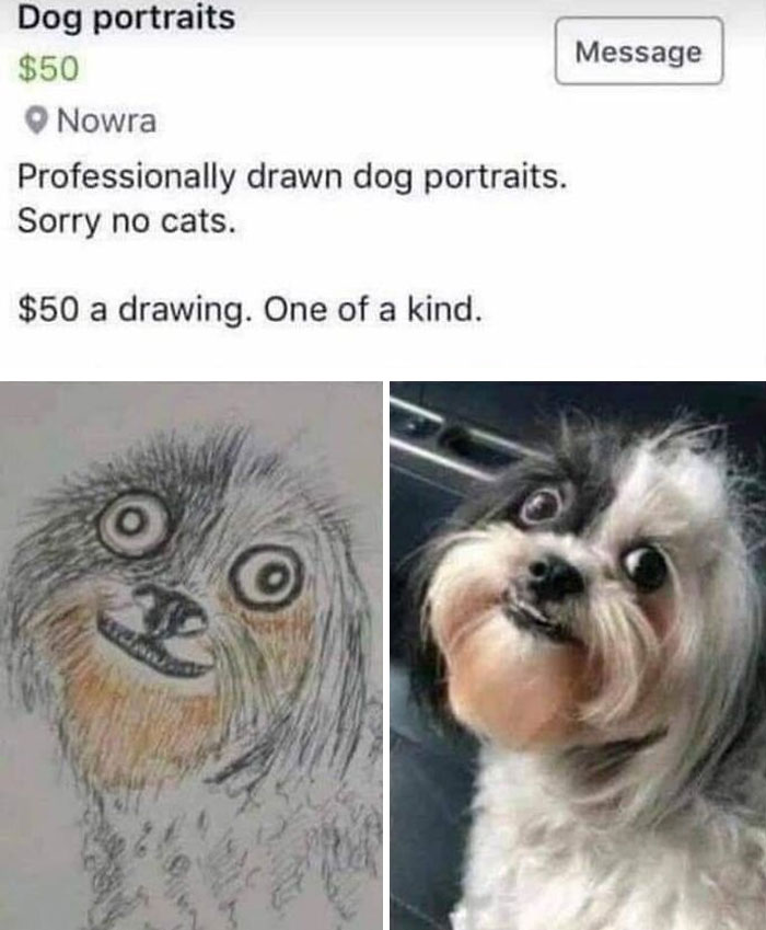 dog - Dog portraits $50 Nowra Professionally drawn dog portraits. Sorry no cats. $50 a drawing. One of a kind. Message