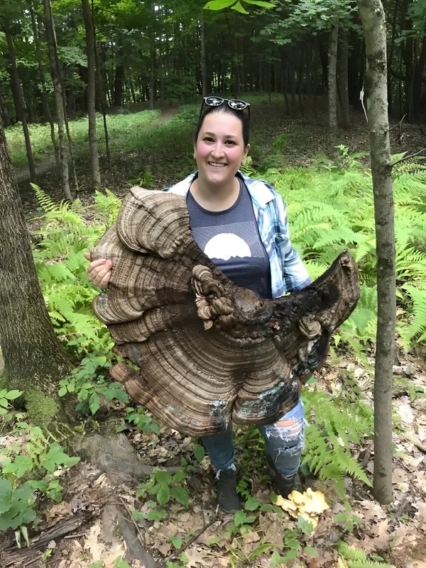 “Giant fungus”