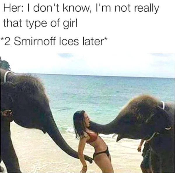 spicy memes and pics - elephants and mammoths - Her I don't know, I'm not really that type of girl 2 Smirnoff Ices later