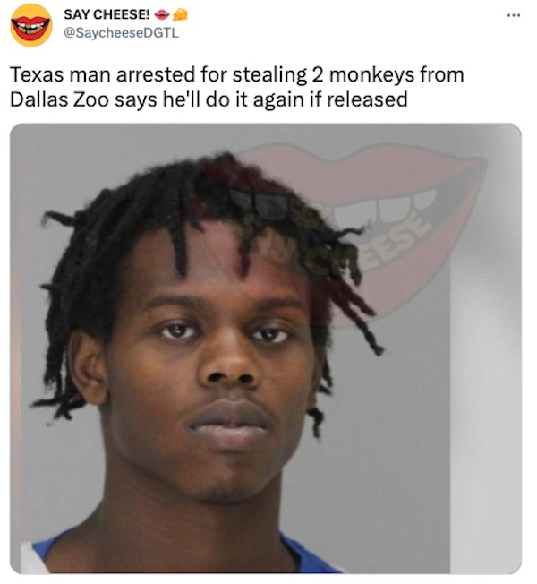 savage tweets - davion irvin - Say Cheese! Texas man arrested for stealing 2 monkeys from Dallas Zoo says he'll do it again if released Eese
