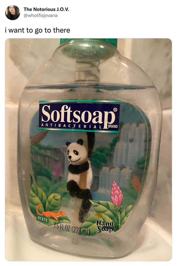 savage tweets - The Notorious J.O.V. i want to go to there Antibacterial Brand 01272 7.5 Fl 02 221 ml Hand Soap