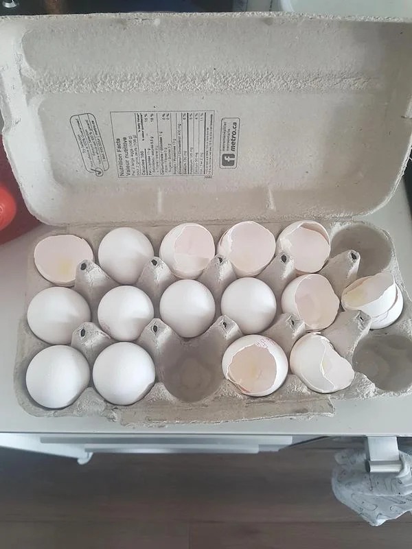 My girlfriend puts the broken egg shells back in the container